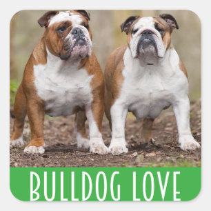 English Bulldog Puppy Dog Love Sticker / Seal