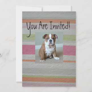 English Bulldog Puppy Invitations
