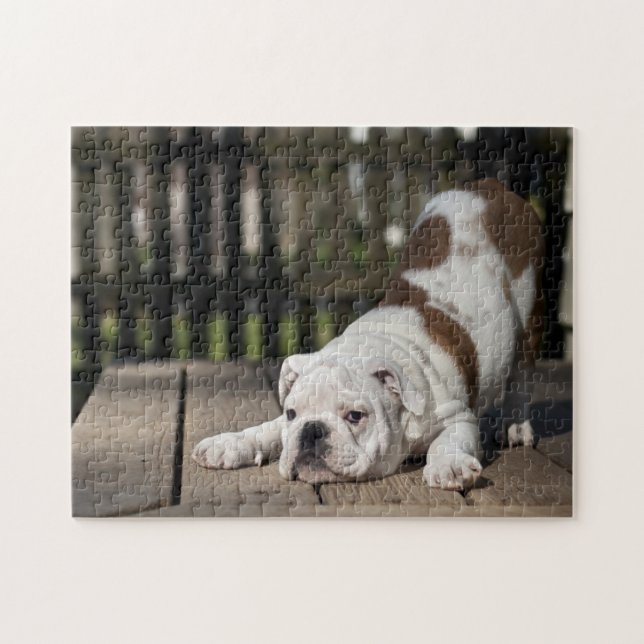 English Bulldog Puppy Jigsaw Puzzle (Horizontal)