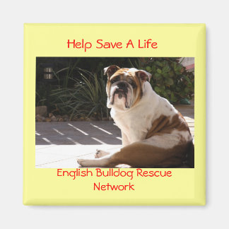 English Bulldog Rescue Network - Customised Magnet