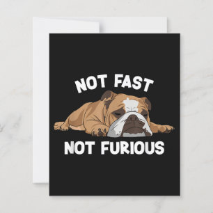 English Bulldog Sleeping Not Fast Not Furious Funn