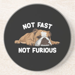 English Bulldog Sleeping Not Fast Not Furious Funn Coaster