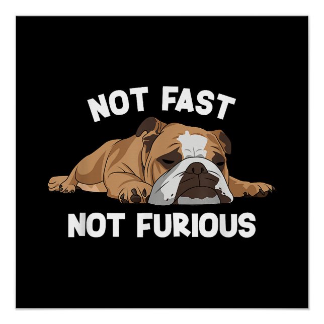 English Bulldog Sleeping Not Fast Not Furious Funn Poster (Front)