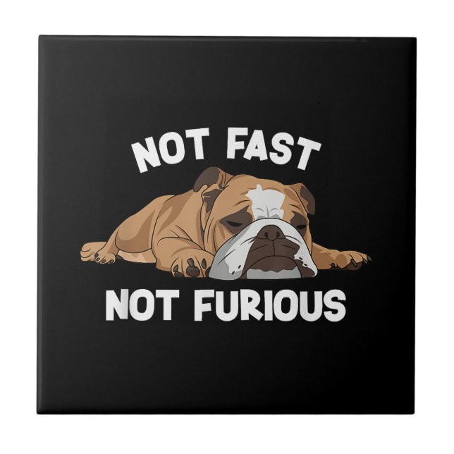 English Bulldog Sleeping Not Fast Not Furious Funn Tile (Front)