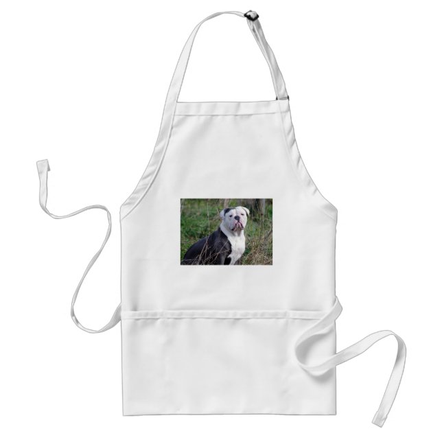 English Bulldog Standard Apron (Front)