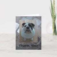 English bulldog Thank You note cards!