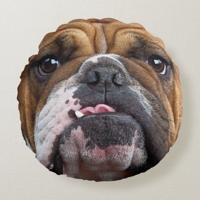 English Bulldog  Throw Pillow (Front)