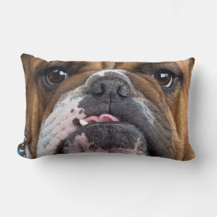 English Bulldog  Throw Pillow