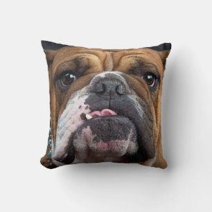 English Bulldog Throw Pillow