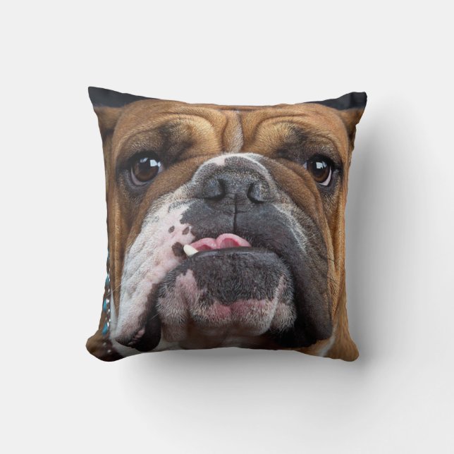 English Bulldog  Throw Pillow (Front)