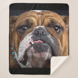 English Bulldog  Throw Pillow
