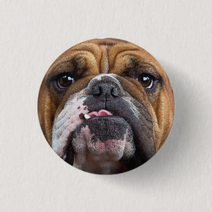 English Bulldog Throw Pillow 3 Cm Round Badge