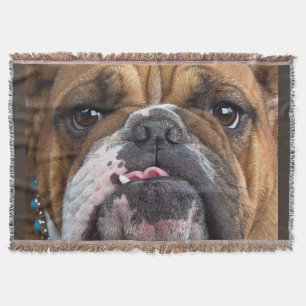 English Bulldog  Throw Pillow Blanket