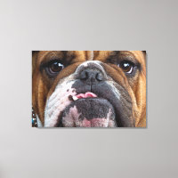 English Bulldog Throw Pillow