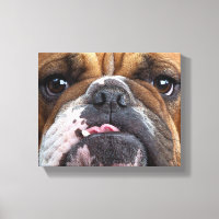 English Bulldog  Throw Pillow
