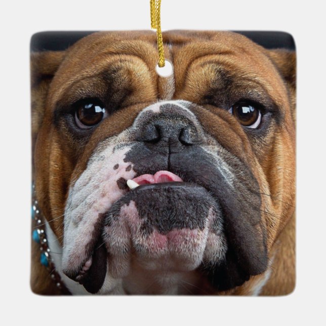 English Bulldog  Throw Pillow Ceramic Ornament (Front)