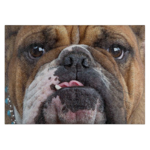 English Bulldog Throw Pillow Cutting Board