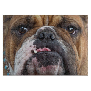 English Bulldog Throw Pillow Cutting Board