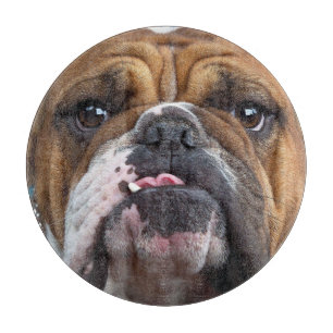 English Bulldog Throw Pillow Cutting Board