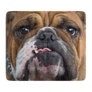 English Bulldog  Throw Pillow Cutting Board