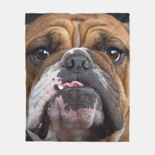 English Bulldog Throw Pillow Fleece Blanket