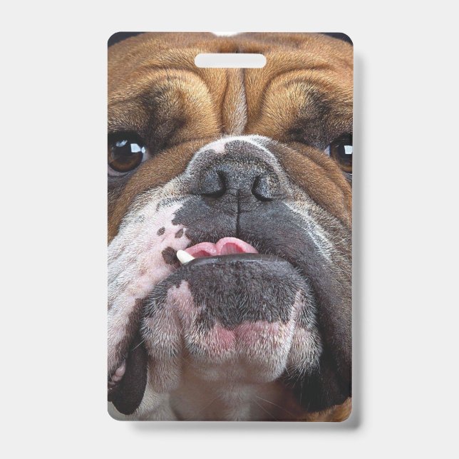 English Bulldog  Throw Pillow ID Badge (Front)