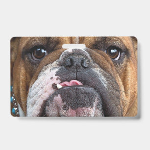 English Bulldog Throw Pillow ID Badge