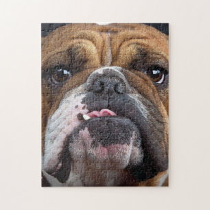 English Bulldog Throw Pillow Jigsaw Puzzle