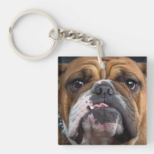 English Bulldog Throw Pillow Key Ring