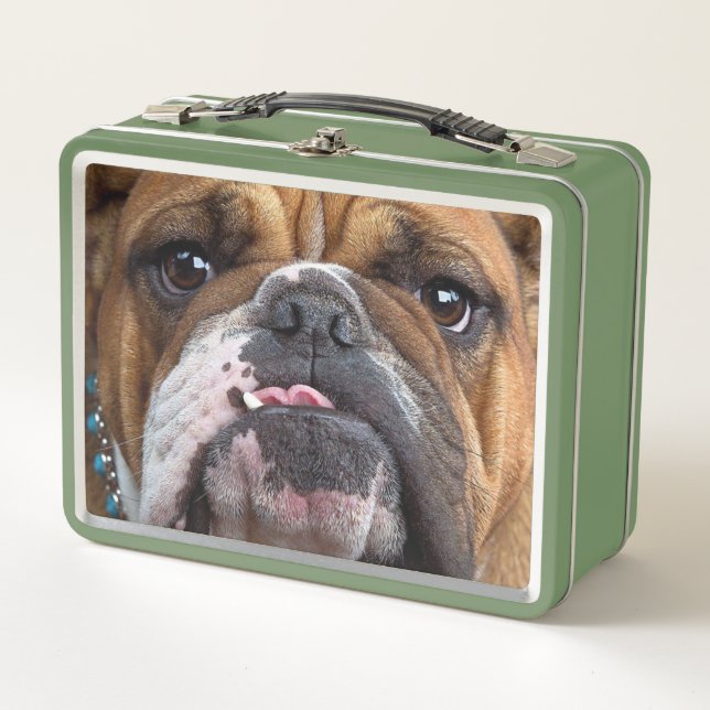 English Bulldog  Throw Pillow Metal Lunch Box (Front)