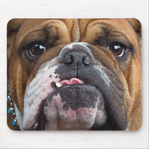 English Bulldog Throw Pillow Mouse Pad