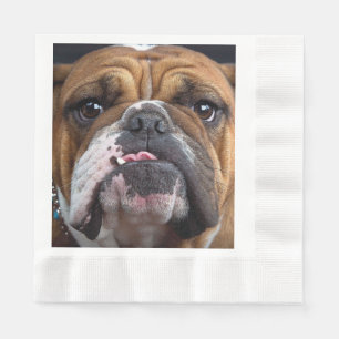 English Bulldog  Throw Pillow Napkin