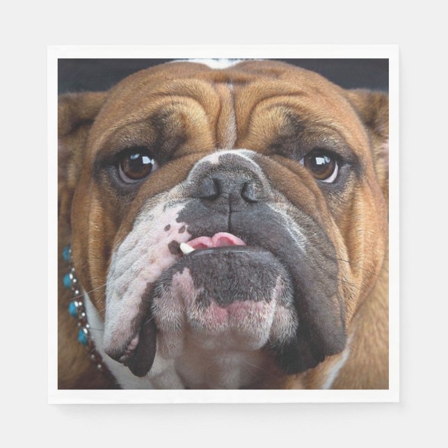 English Bulldog  Throw Pillow Napkin (Front)