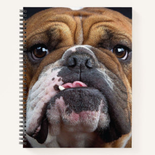 English Bulldog  Throw Pillow Notebook