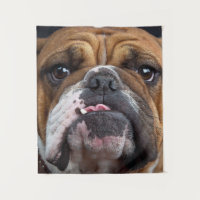 English Bulldog Throw Pillow