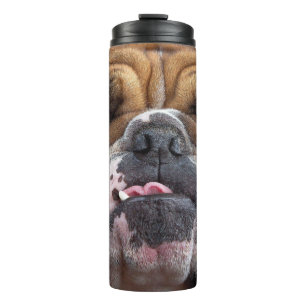 English Bulldog  Throw Pillow Thermal Tumbler