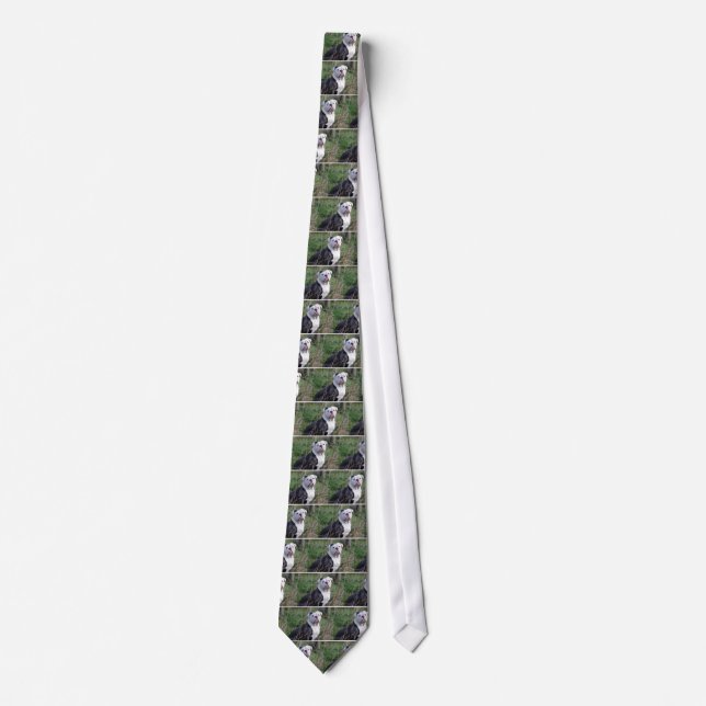 English Bulldog Tie (Front)