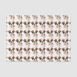English Bulldog Tissue Wrapping Paper