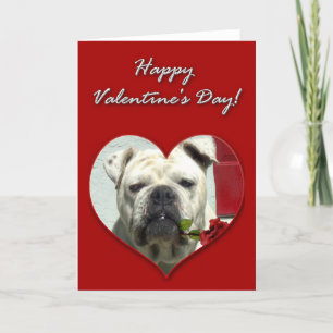 English Bulldog Valentines Day Card
