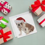 English Bulldog Wearing Santa Hat Holiday Card<br><div class="desc">christmas dog - english bulldog wearing santa hat holding christmas bell on white background © and ® Bigstock® - All Rights Reserved.</div>