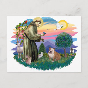 English Bulldog (white-brown) Postcard