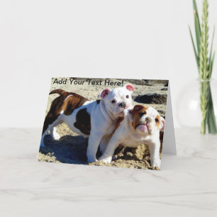 English Bulldogs Puppy Love! Card