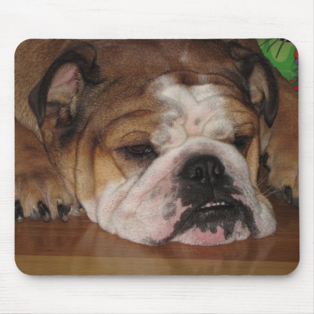 english bullie mouse pad (Front)