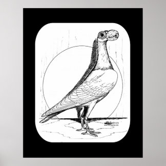 English Carrier Pigeon 1978 Poster