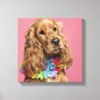 English Cocker Spaniel (10 months old)