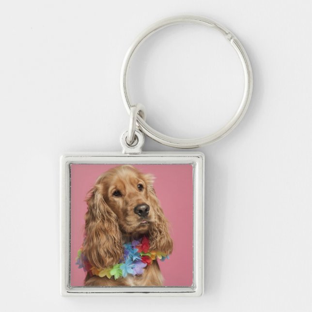 English Cocker Spaniel (10 months old) Key Ring (Front)