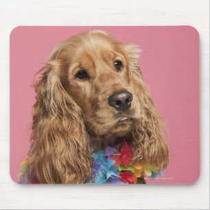English Cocker Spaniel (10 months old) Mouse Pad