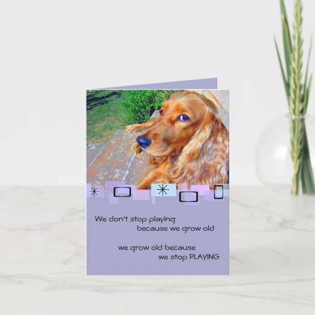 English Cocker Spaniel Birthday Greeting Card (Front)