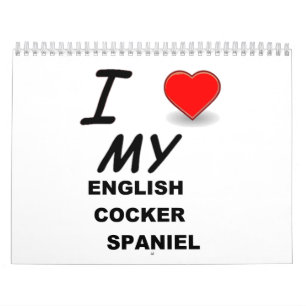 english cocker spaniel calendar