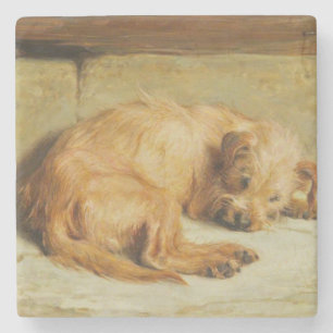 English Cocker Spaniel Dog (by Briton Rivière) Stone Coaster